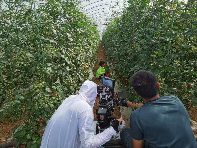 泾川县产品宣传视频拍摄公司进阶指南，助力品牌抢占传播高地